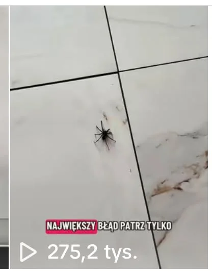 Statystyka filmu: 275,2 tysiąca wyświetleń